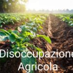 la disoccupazione